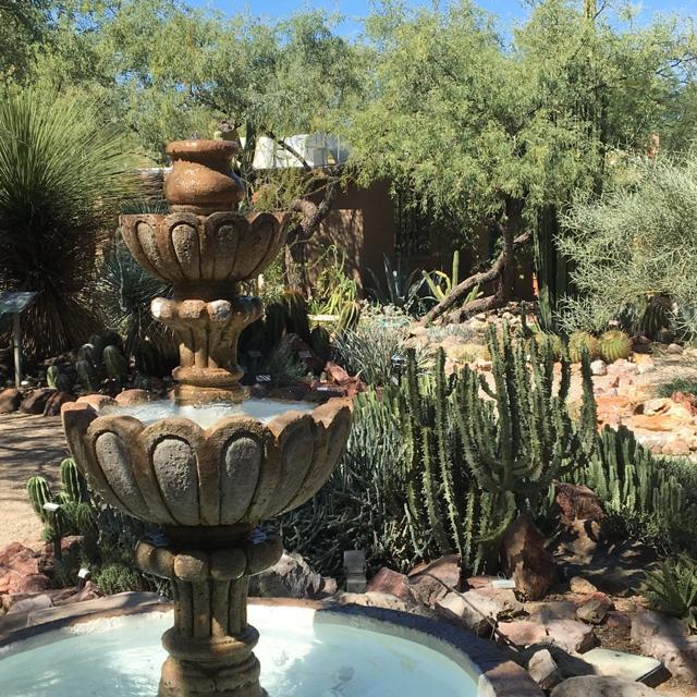 Tucson Botanical Gardens